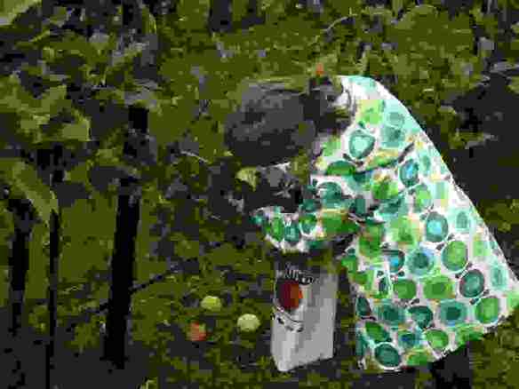 Appelplukdag 2008 Appelplukdag 2008