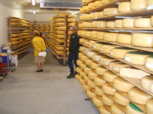 Opslag Wilde Weide Kaas