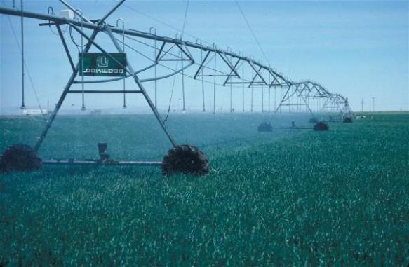 irrigation corn irrigation corn