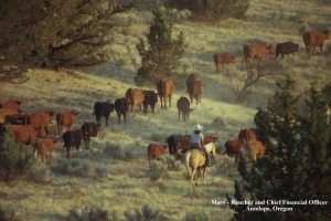 taken from:http://www.oregoncountrybeef.com/