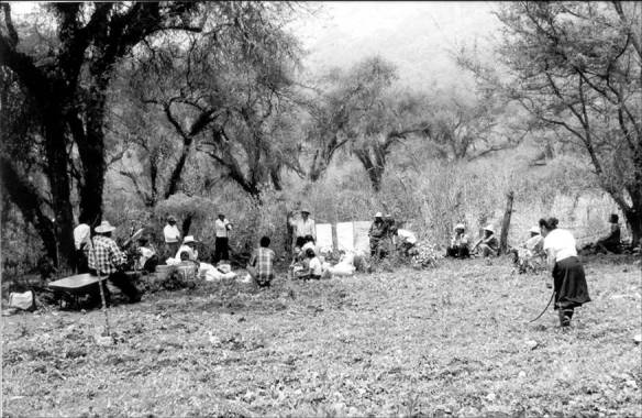 RASA - Peter Gerritsen