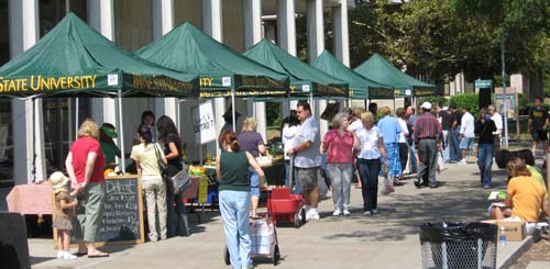 SEED Wayne market lineup