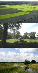 Drie landschapsbeelden die ik in mijn onderzoek heb gebruikt
