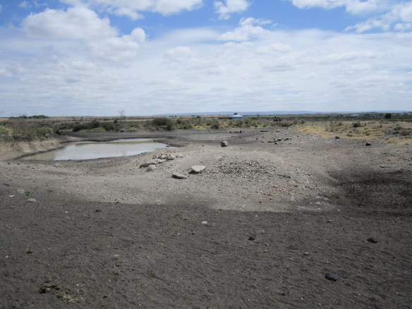 Drying out water hole for cattle (a so called `dam´) during the current drought