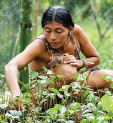 TRAFFIC ARTICLE ON WAO CHOCOLATE jpg 2