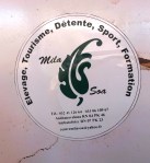 Mila Soa multifunctional farm: Livestock, Tourism, Relaxation, Sport, Training