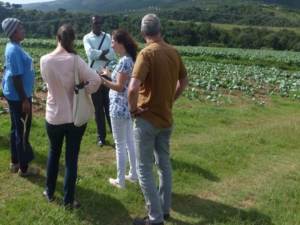 Meeting in South-Africapptx