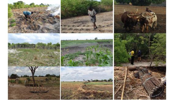 Best agricultural practices in Kapanda, Zambia