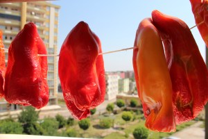 2014 a 2013 IMG_2719