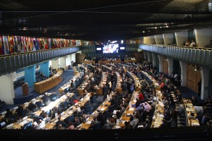 CFS in action (photo by X. Jiang) 