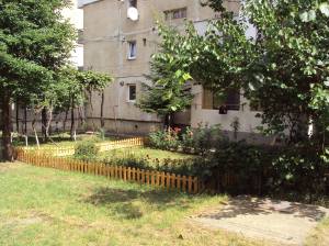 11879645_1022934331074106_583476184_o-2