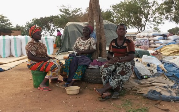 Wegerif - WomanMaizeTradersUnderTree