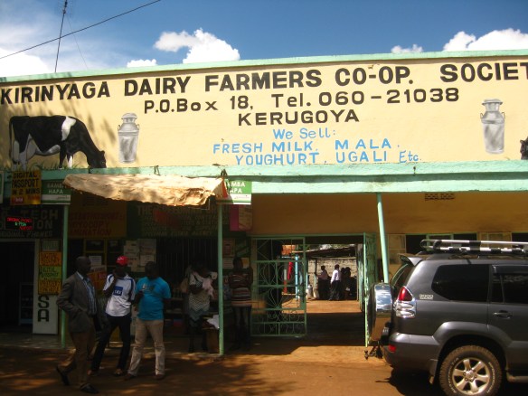 treakle-dairy-cooperative-in-kenya