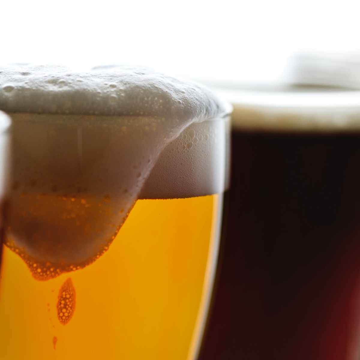 Thesis opportunity: Brewing Social, Economic and Ecological Change in the Global Hops&nbsp;Industry