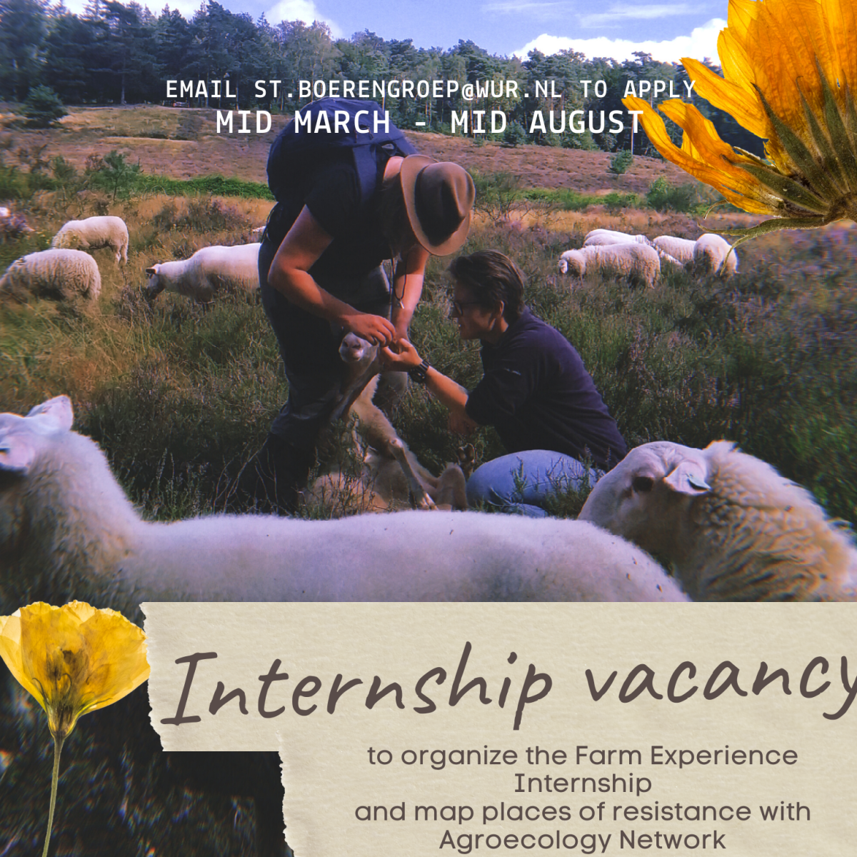 Vacancy internship Boerengroep and Agroecology&nbsp;Network